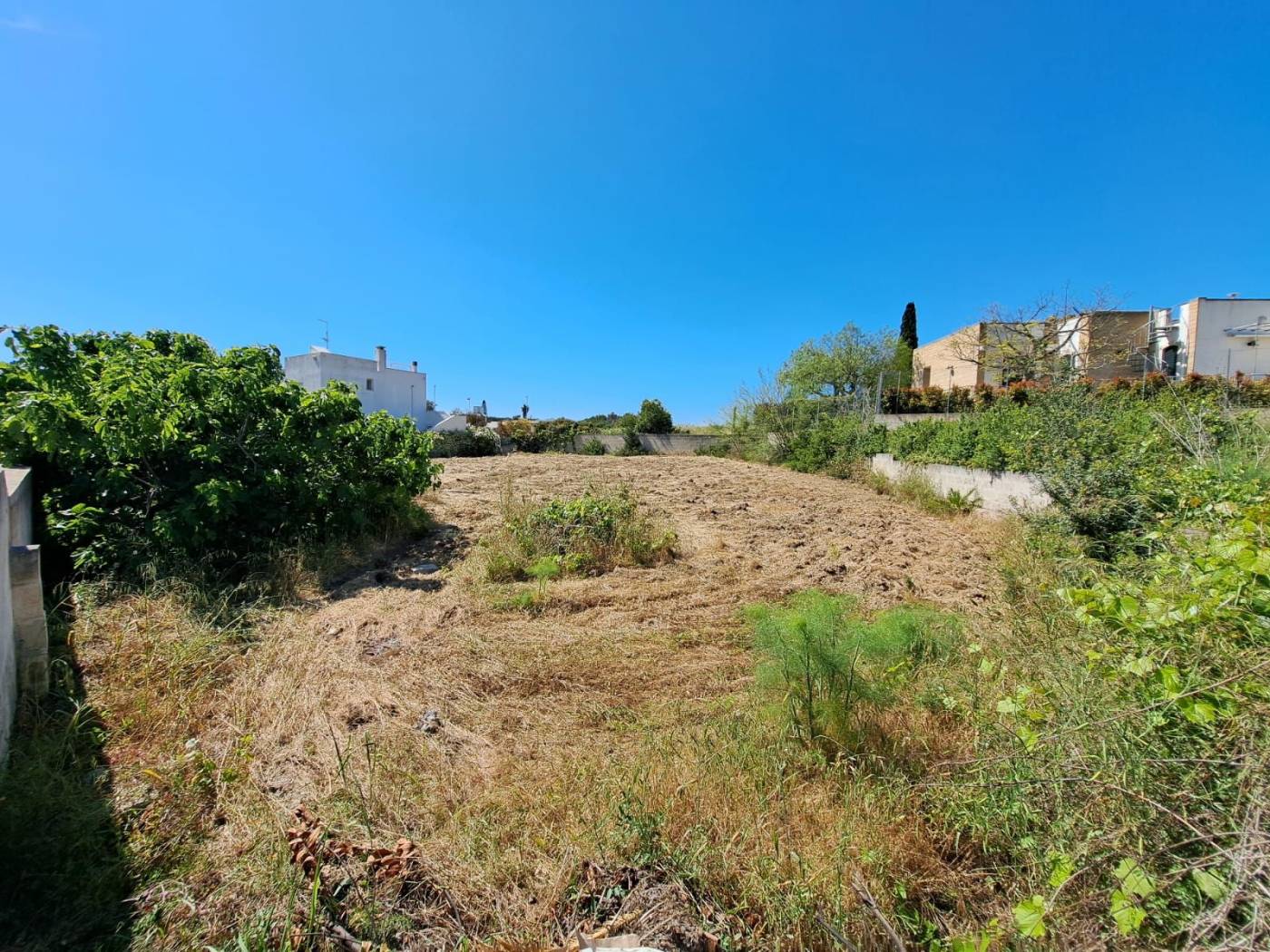 Terreno