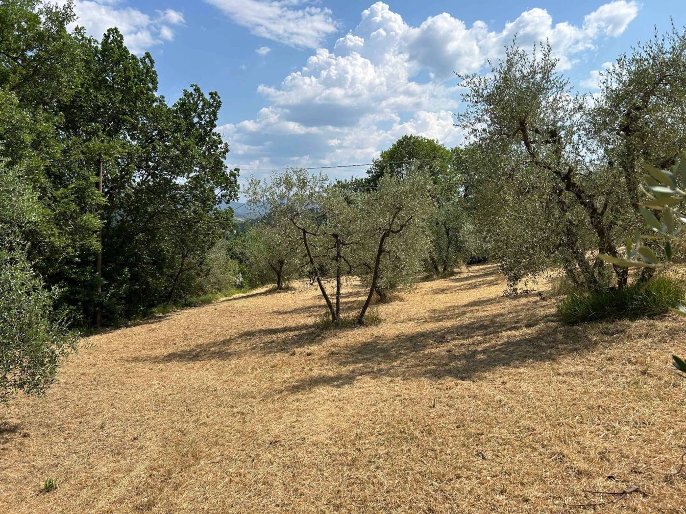 Terreno Terreno