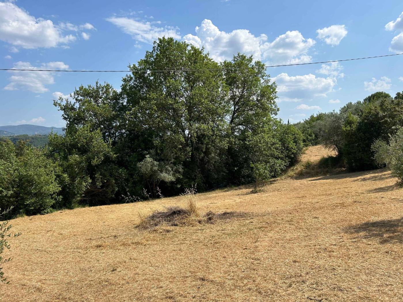 Terreno Terreno