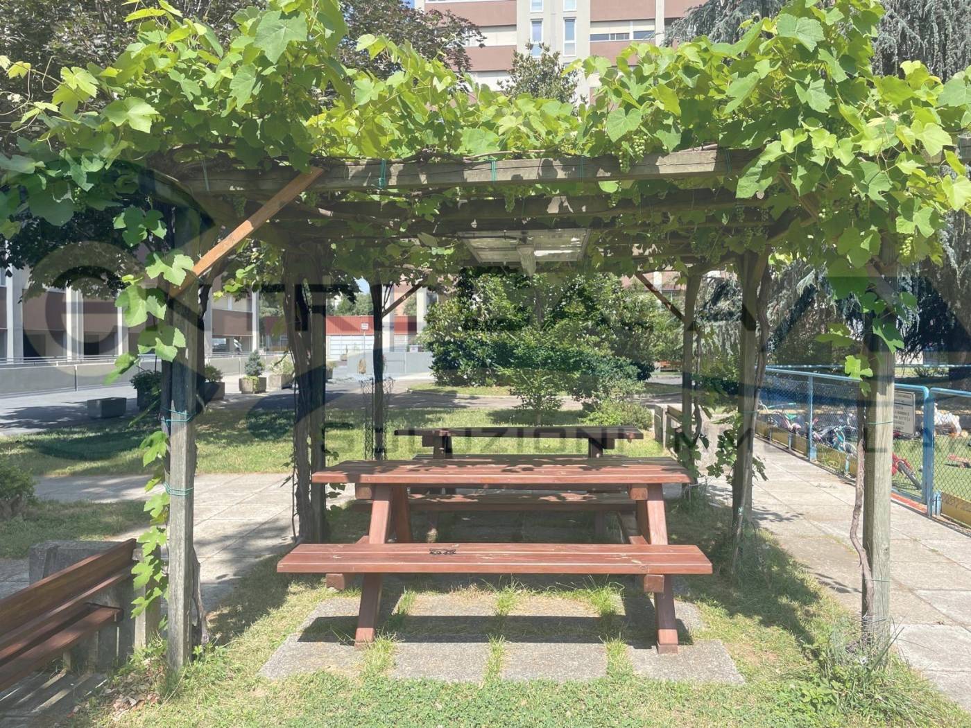 Giardino