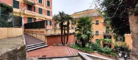 Zona