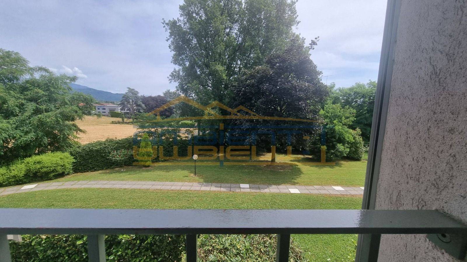 Vista