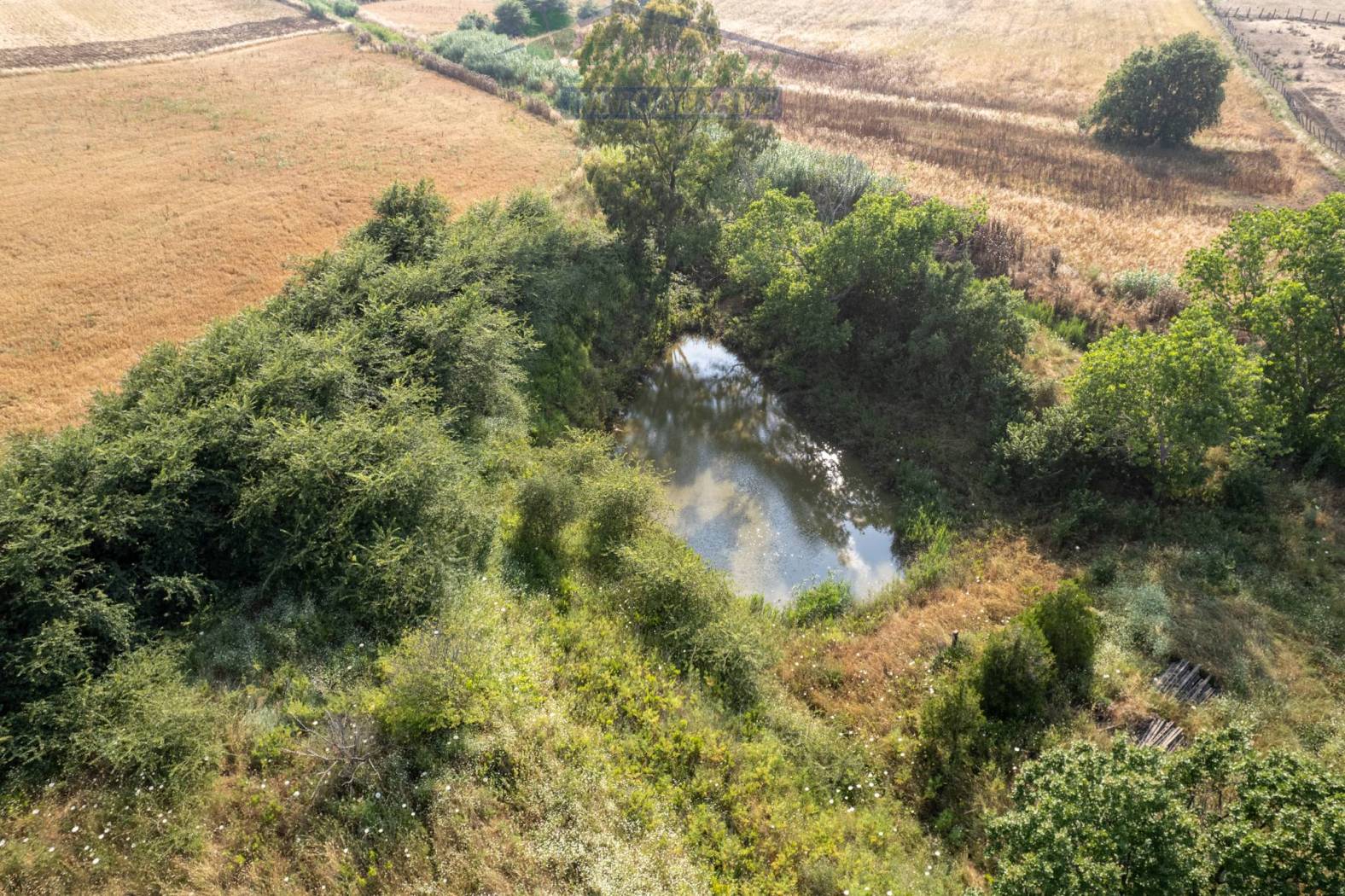 Terreno