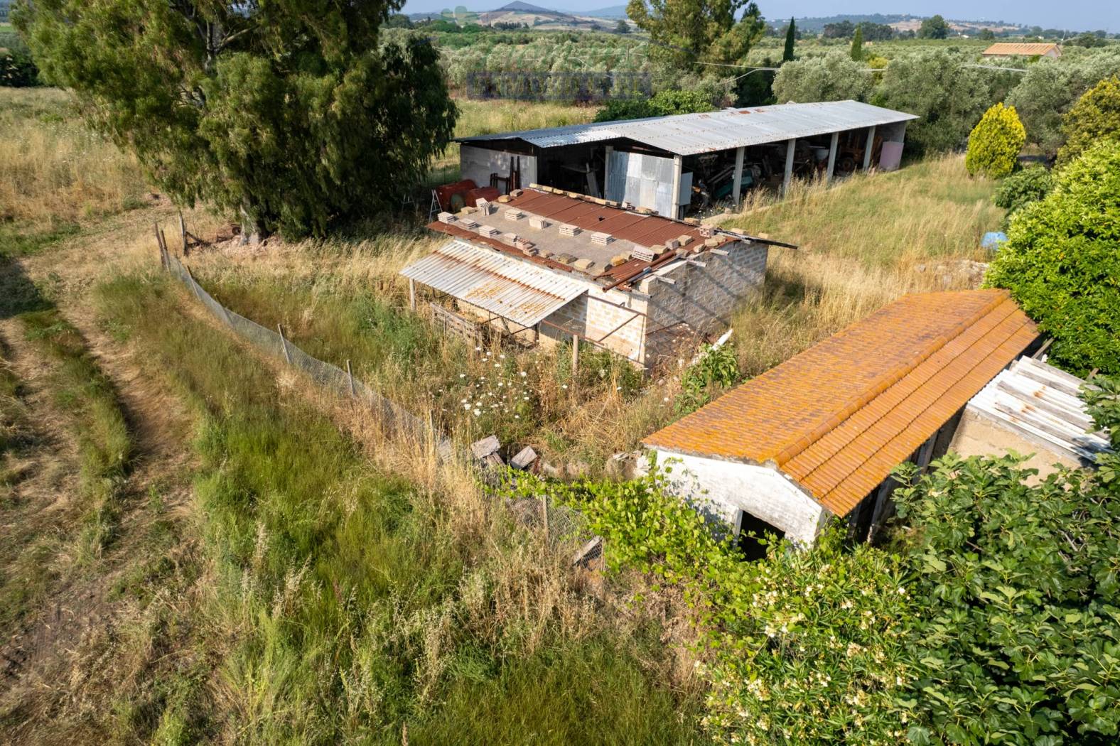 Terreno