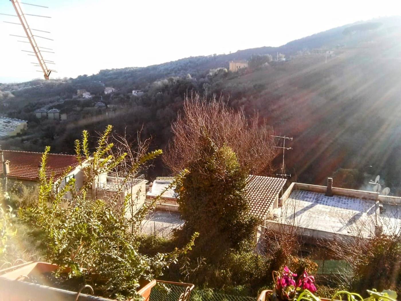 Vista