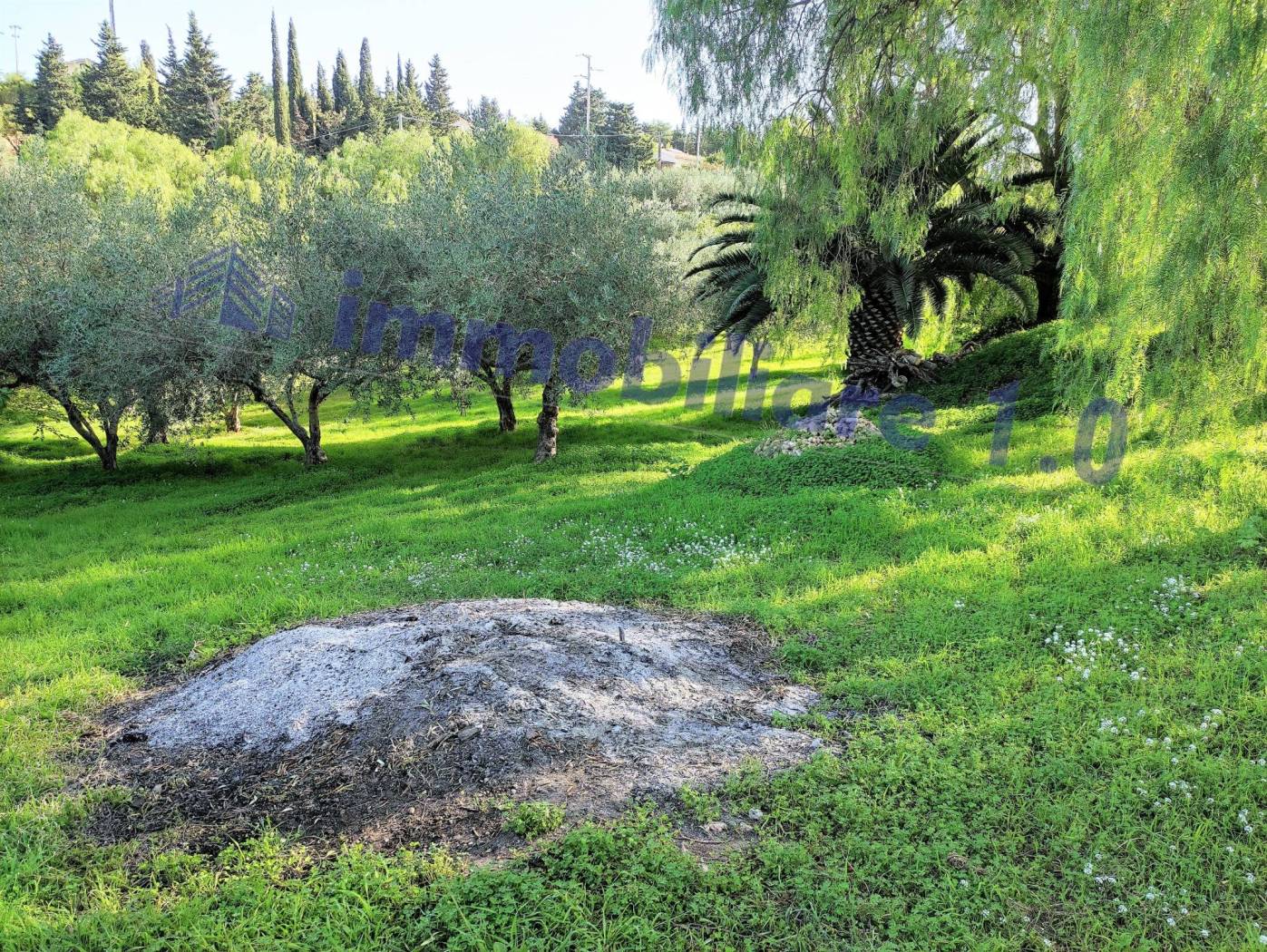 Terreno
