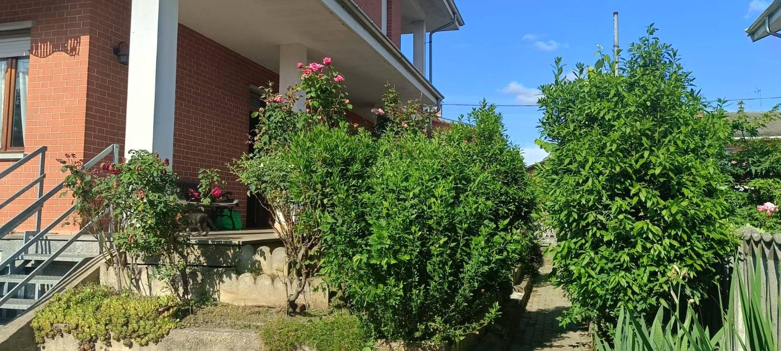 Giardino