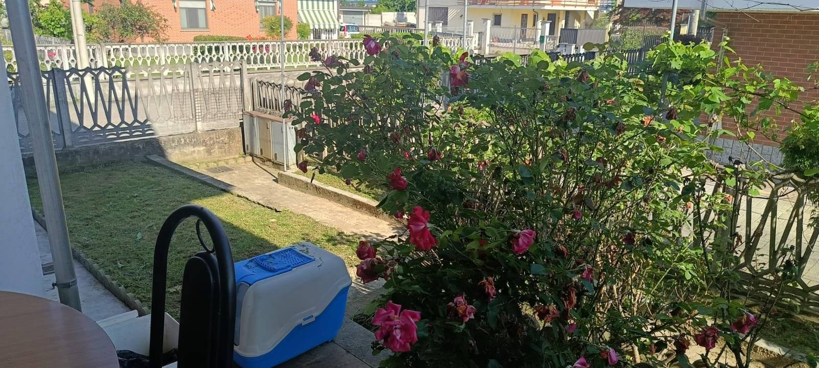 Giardino