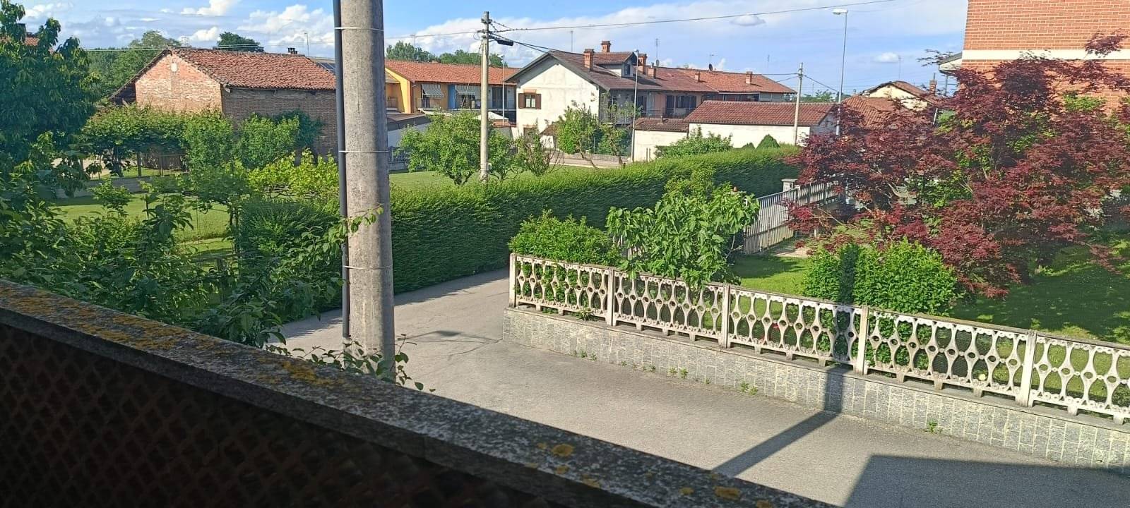 Vista