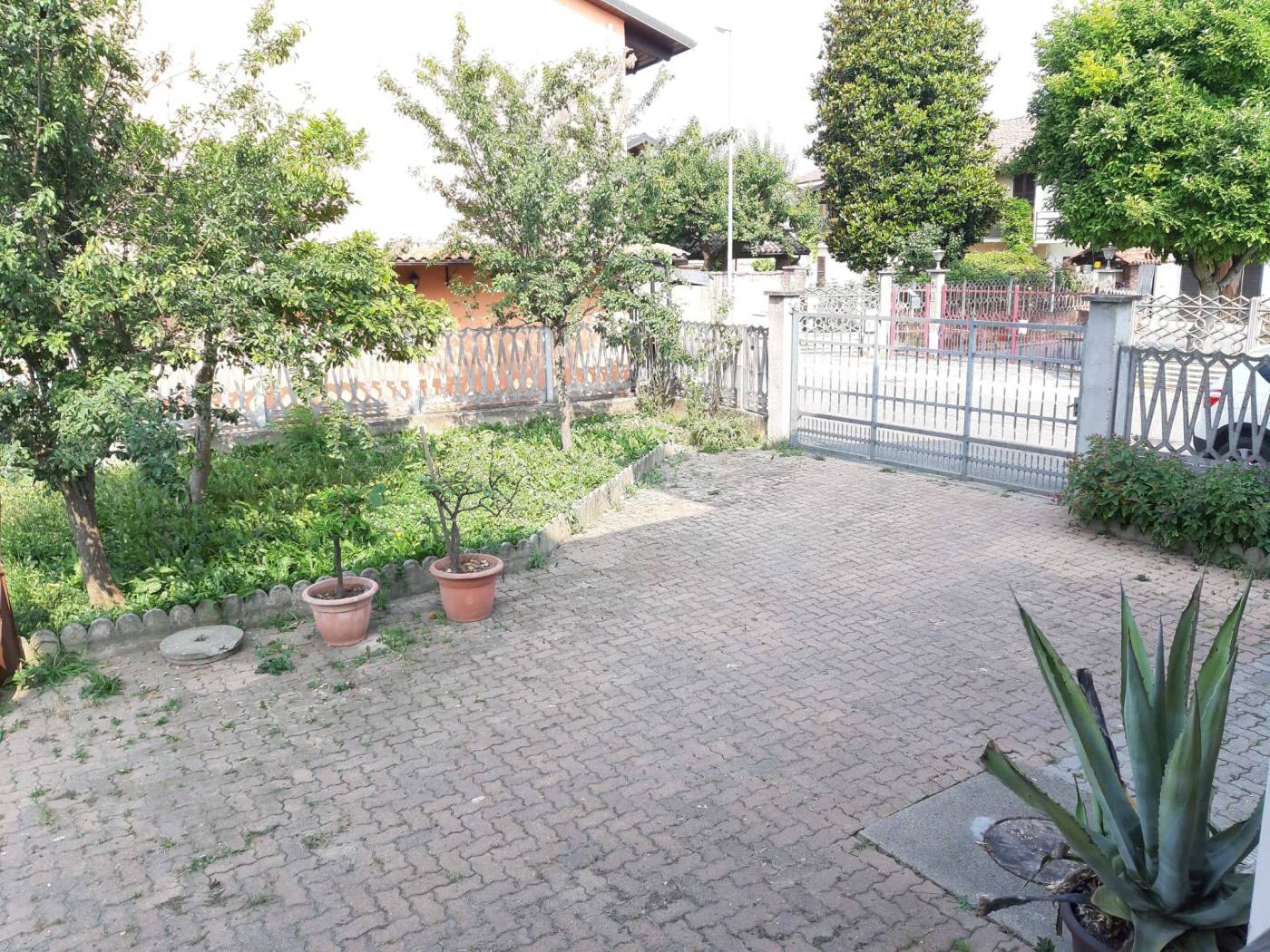 Giardino