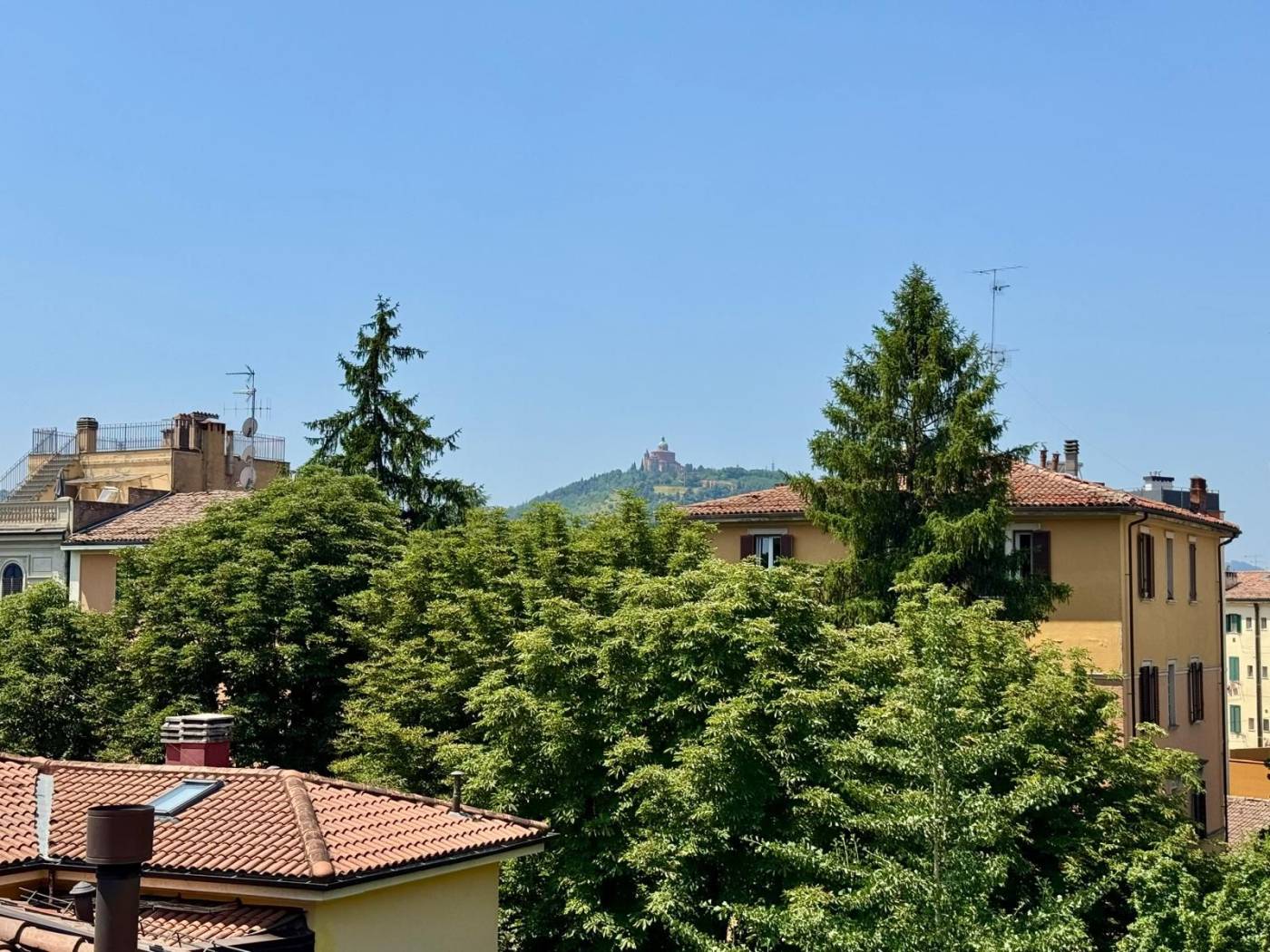 Vista