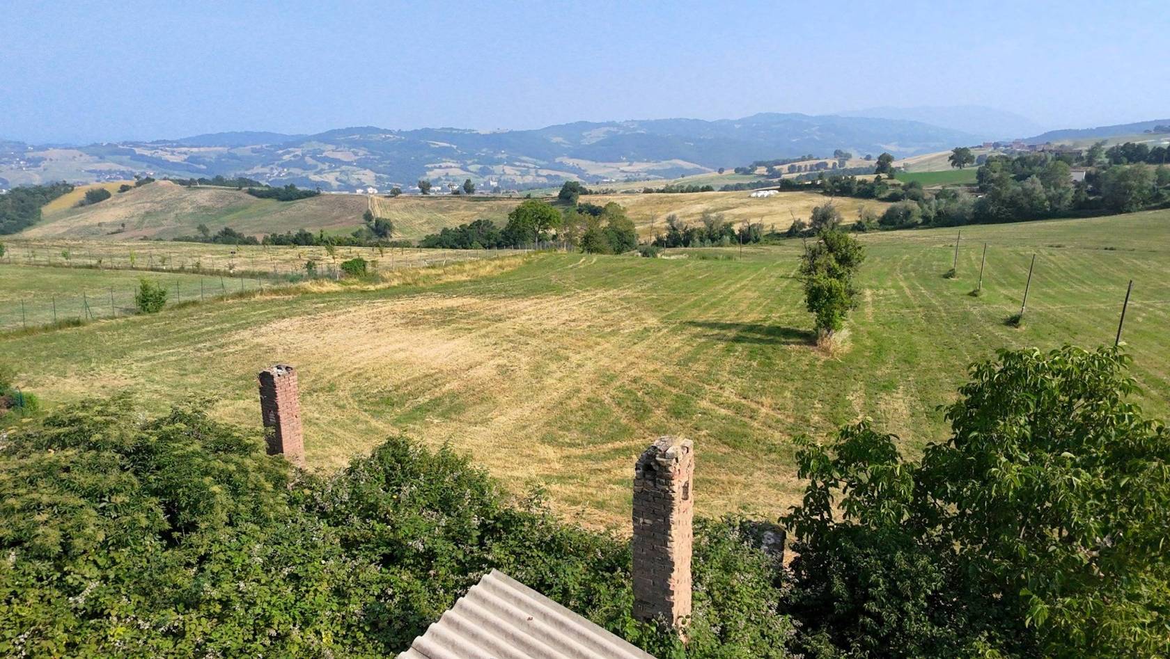 Vista