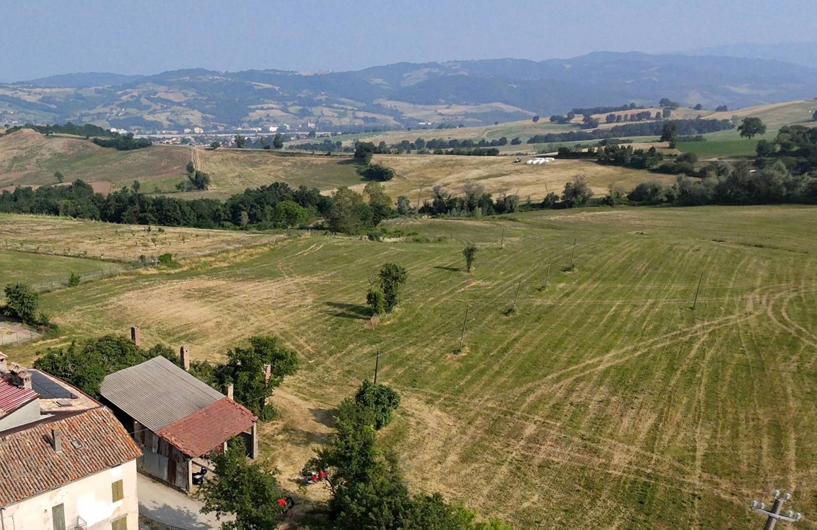 Vista