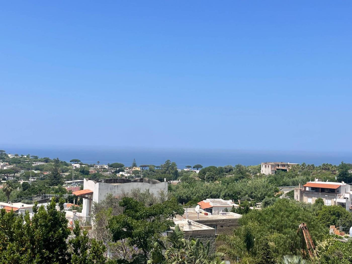Vista