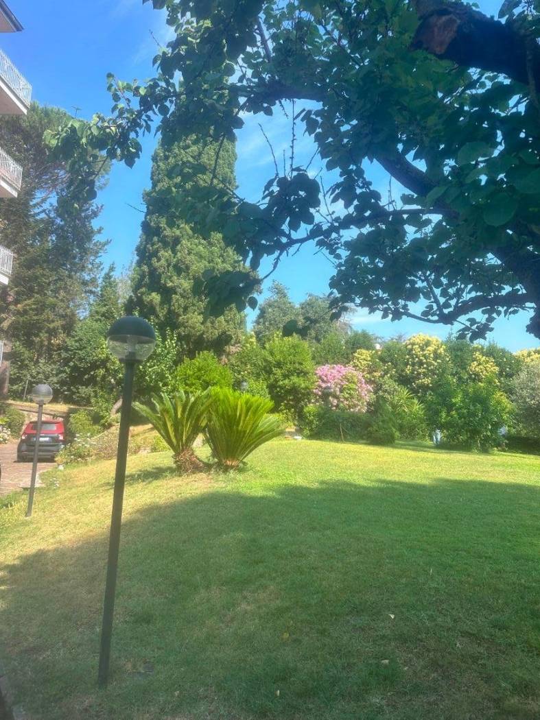 Giardino
