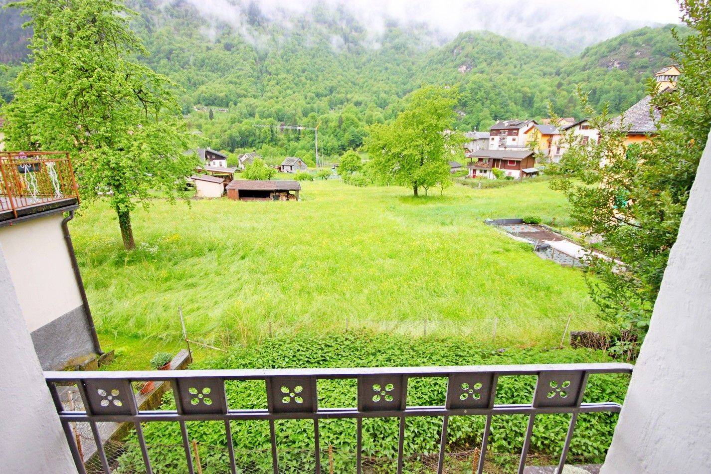 Vista