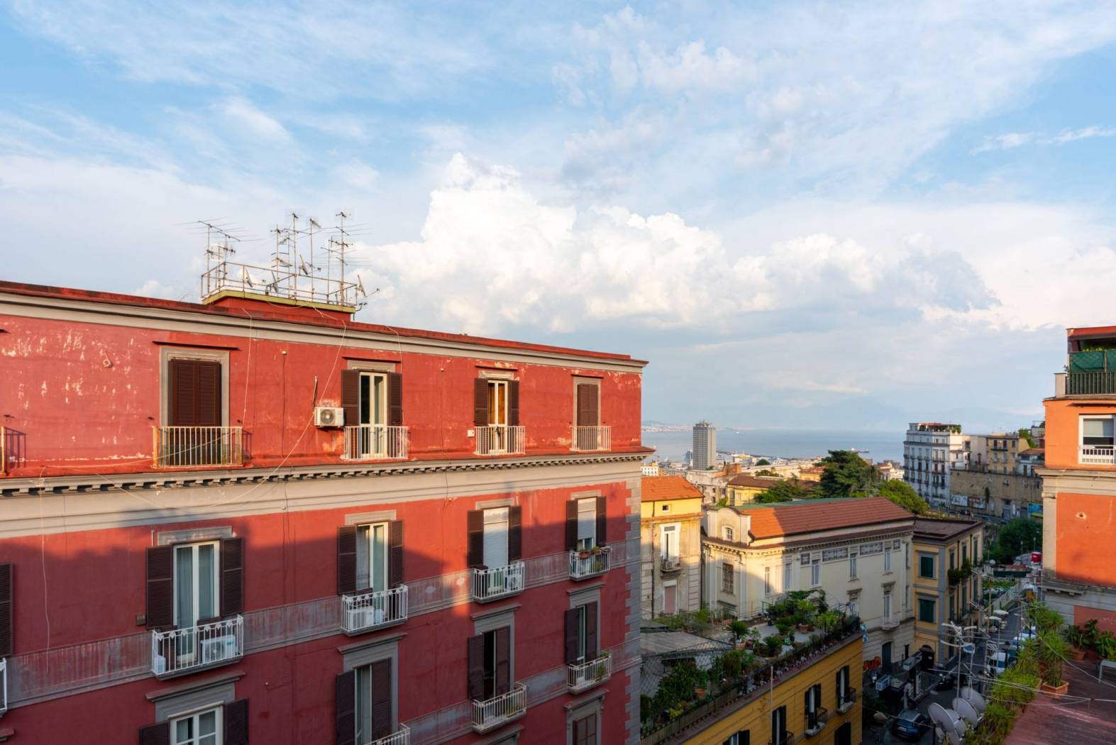 Vista