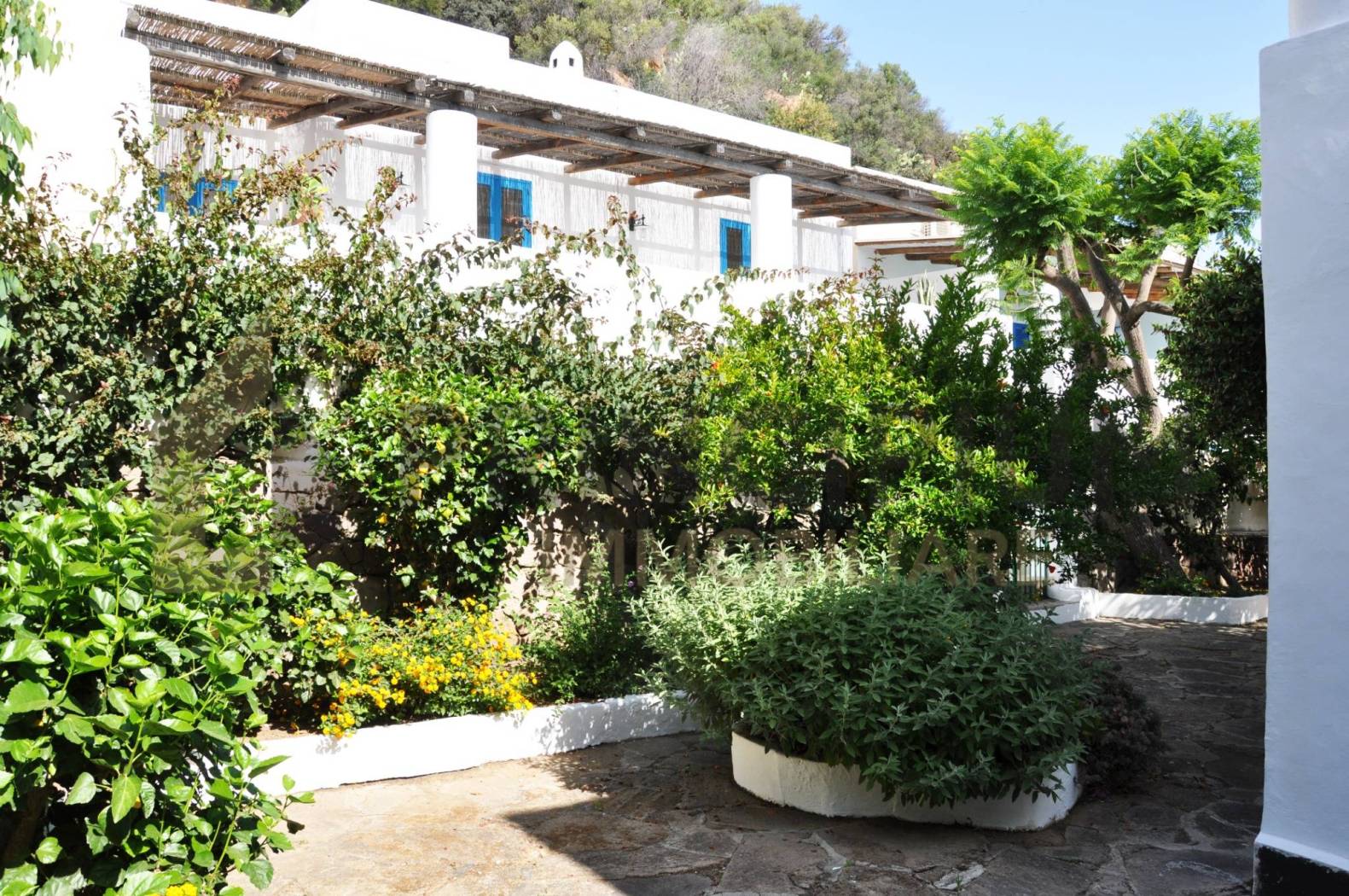 Giardino