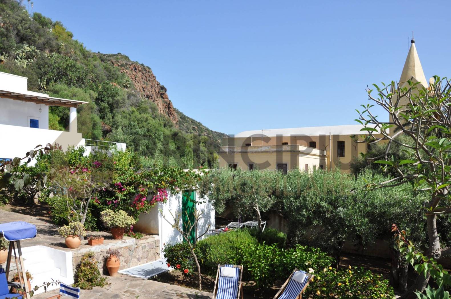 Giardino
