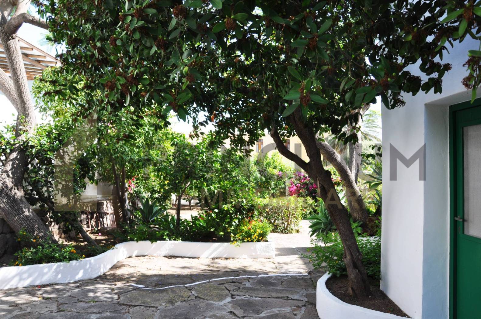 Giardino