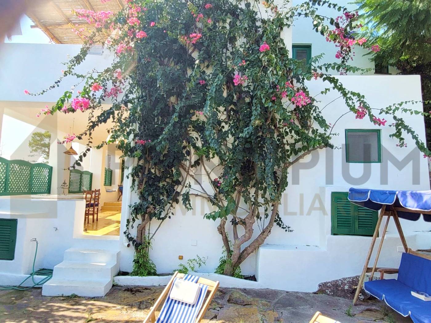 Giardino