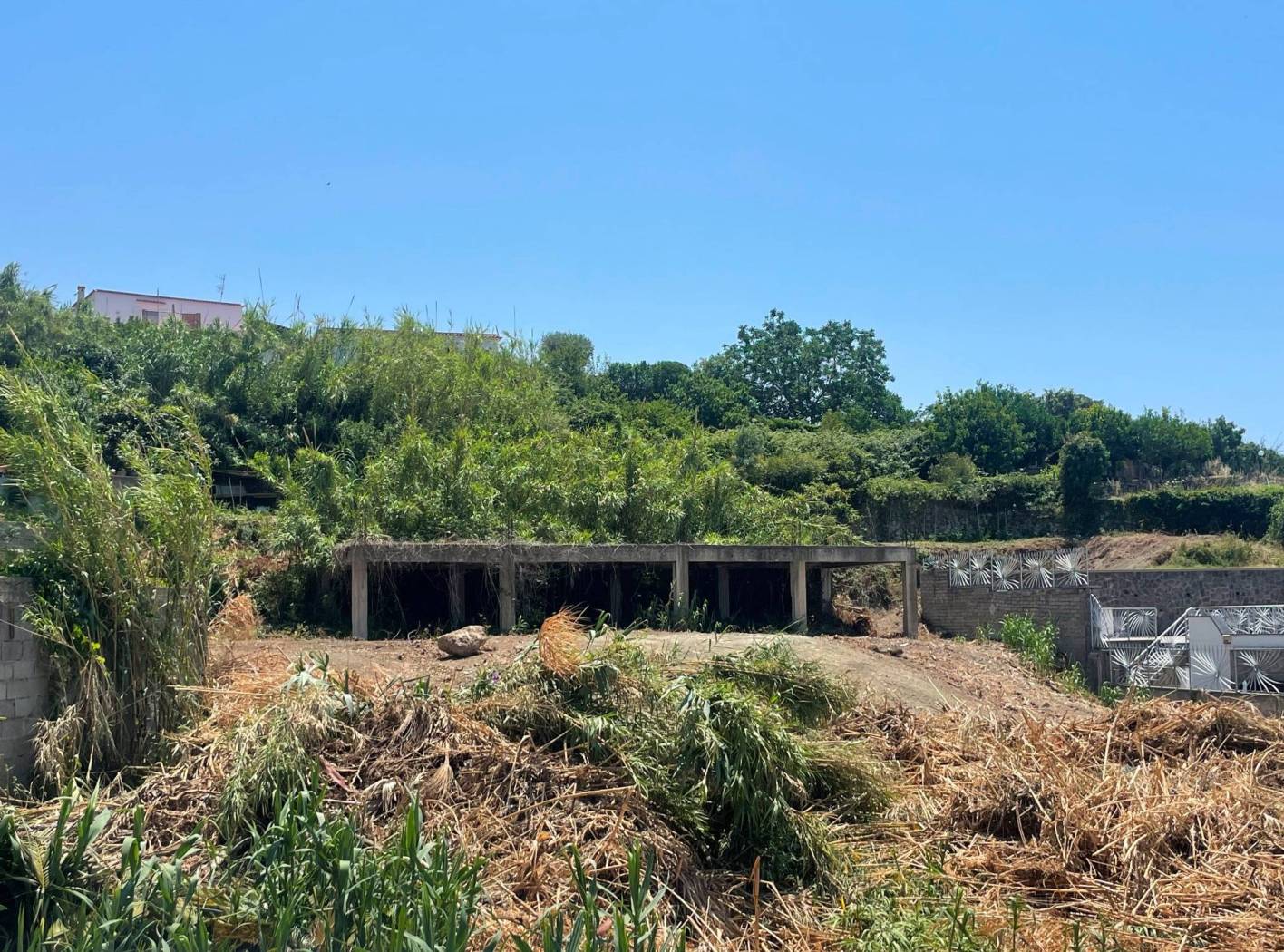 Terreno