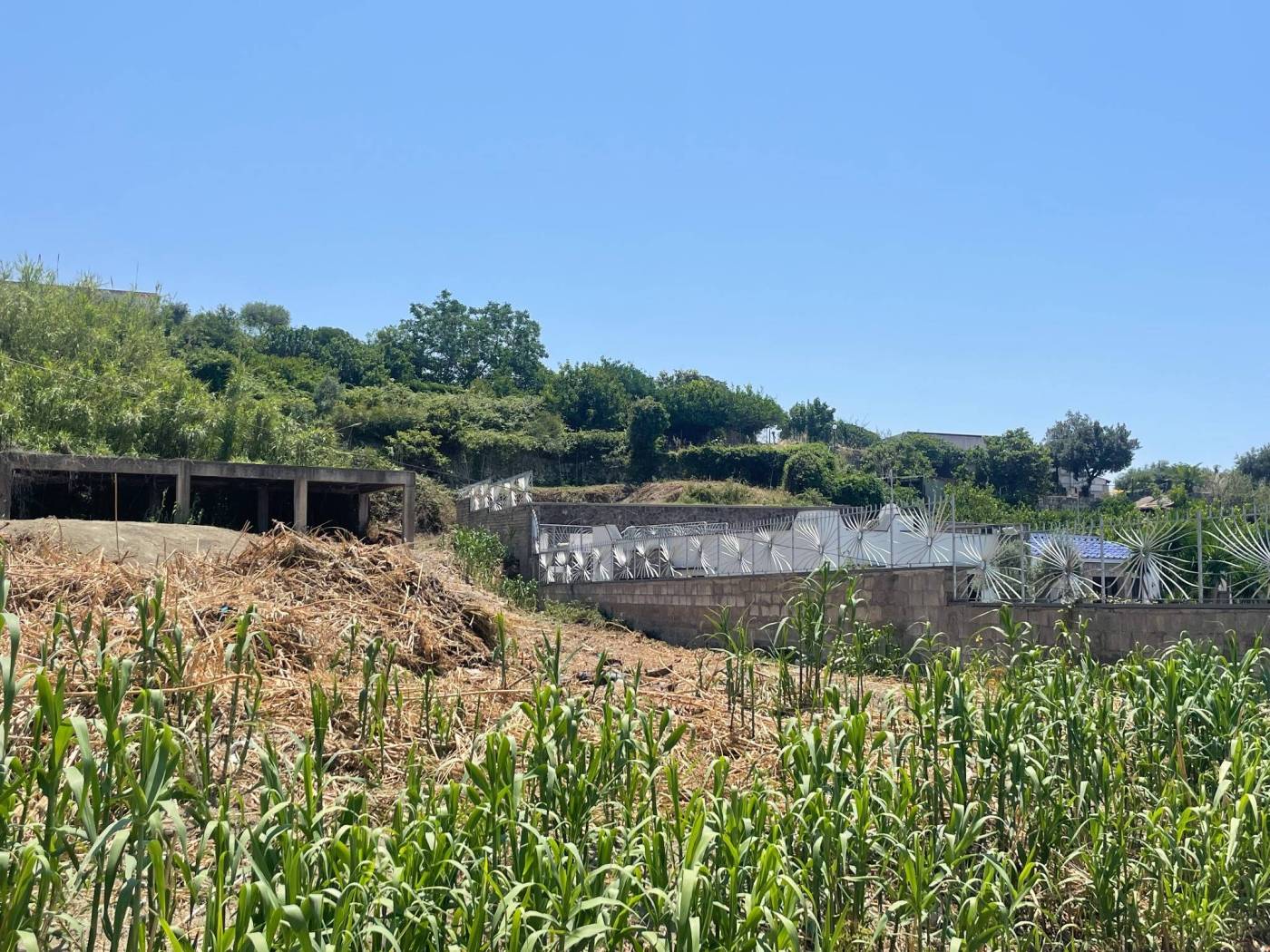 Terreno
