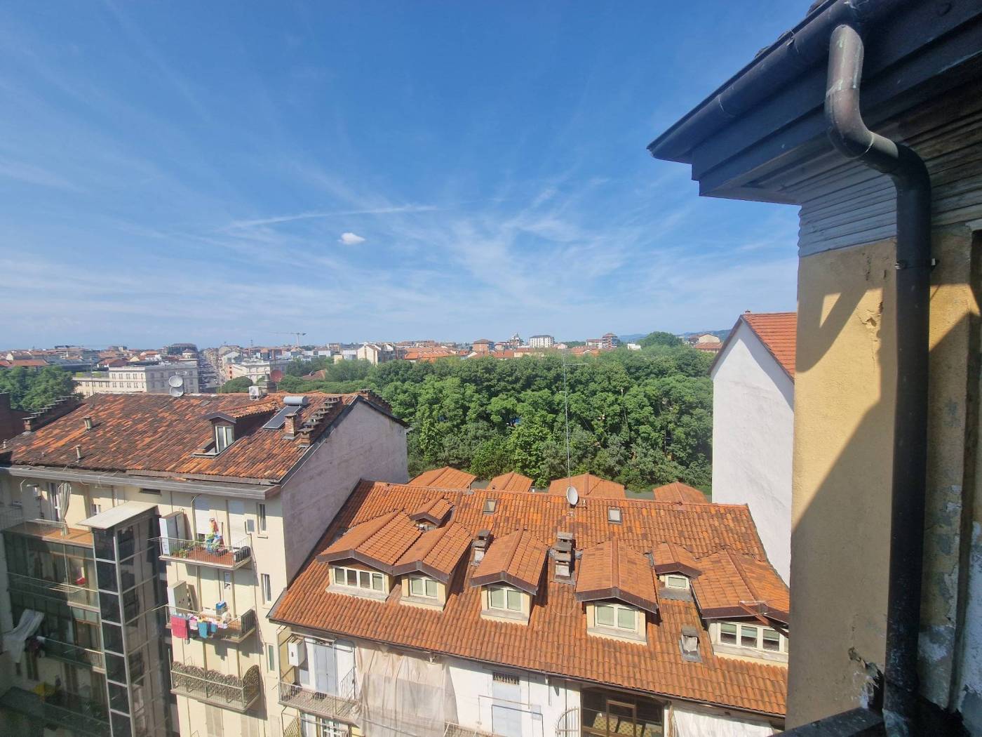 Vista