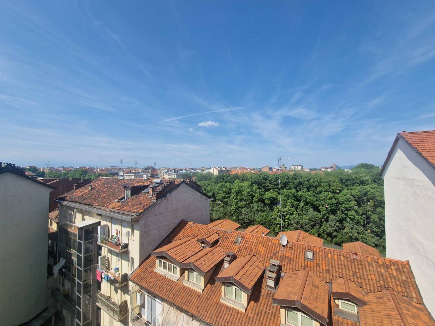 Vista