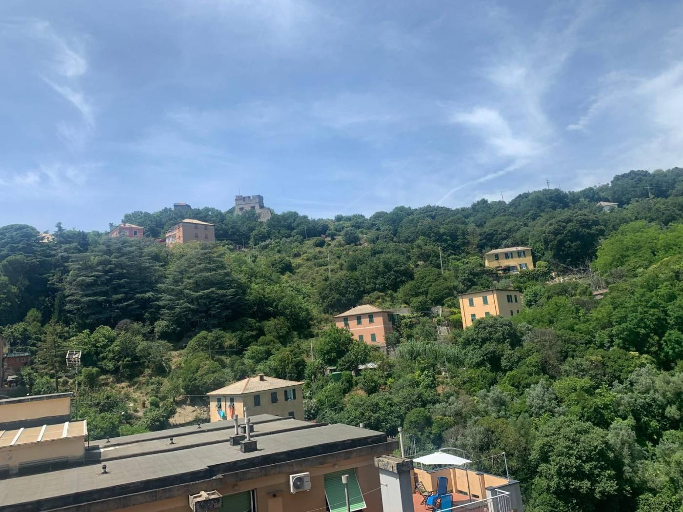 Vista