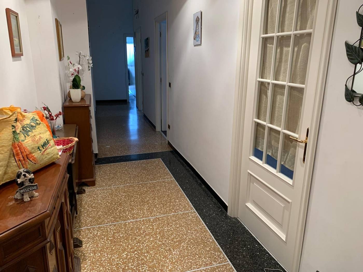 Ingresso