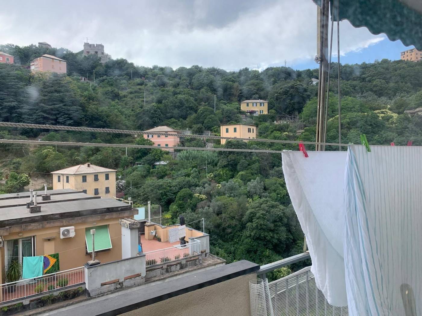 Vista