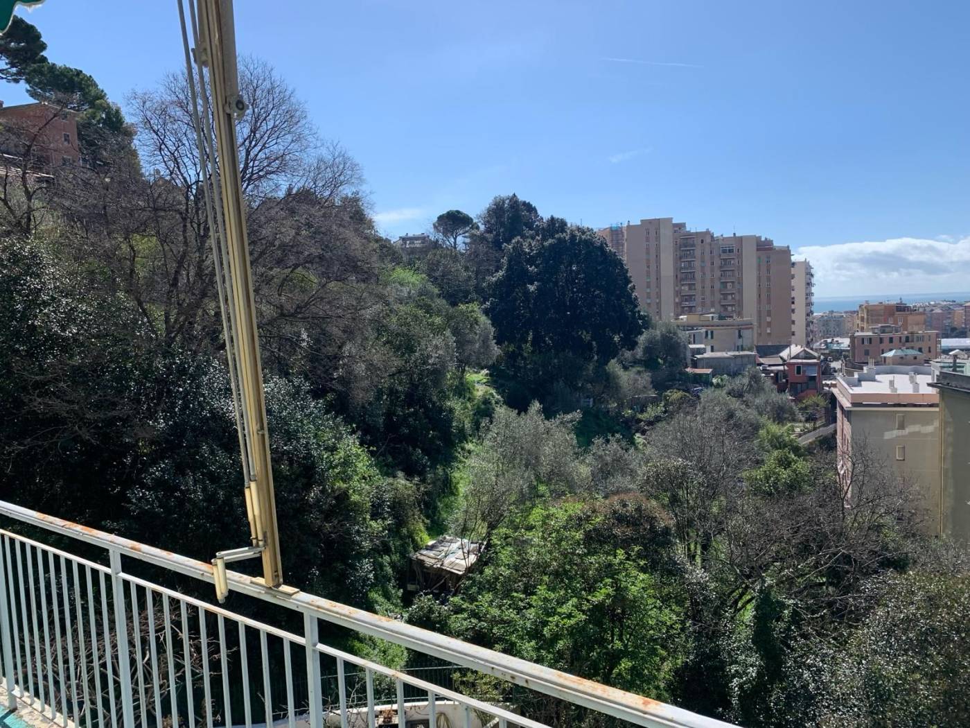 Vista