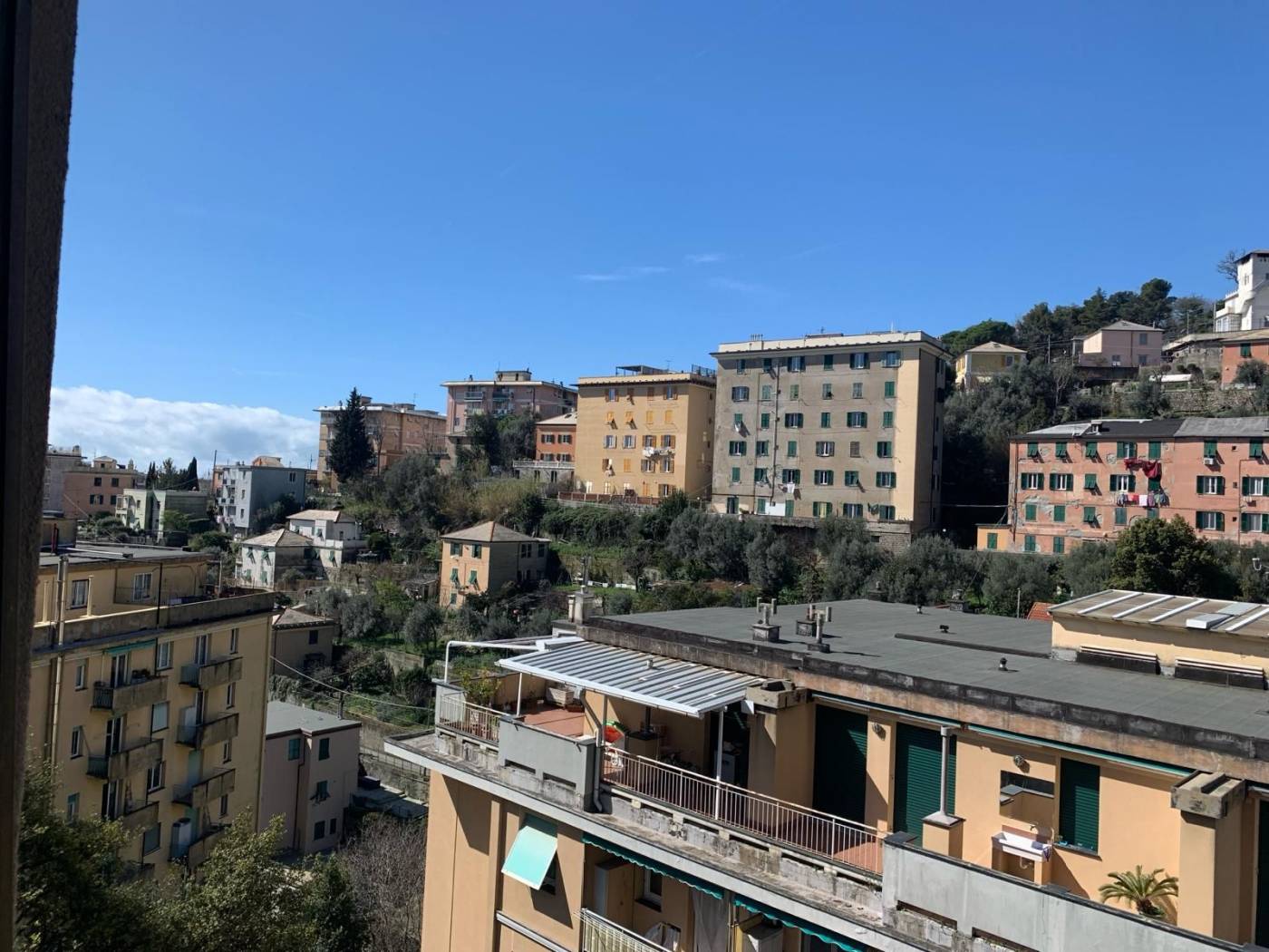 Vista