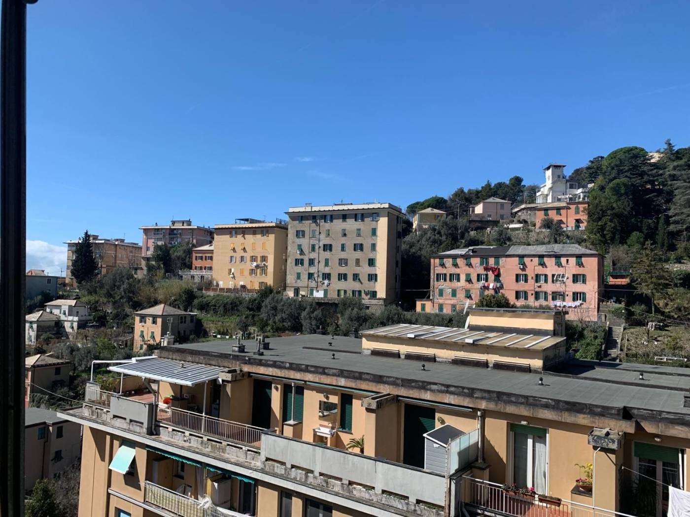 Vista