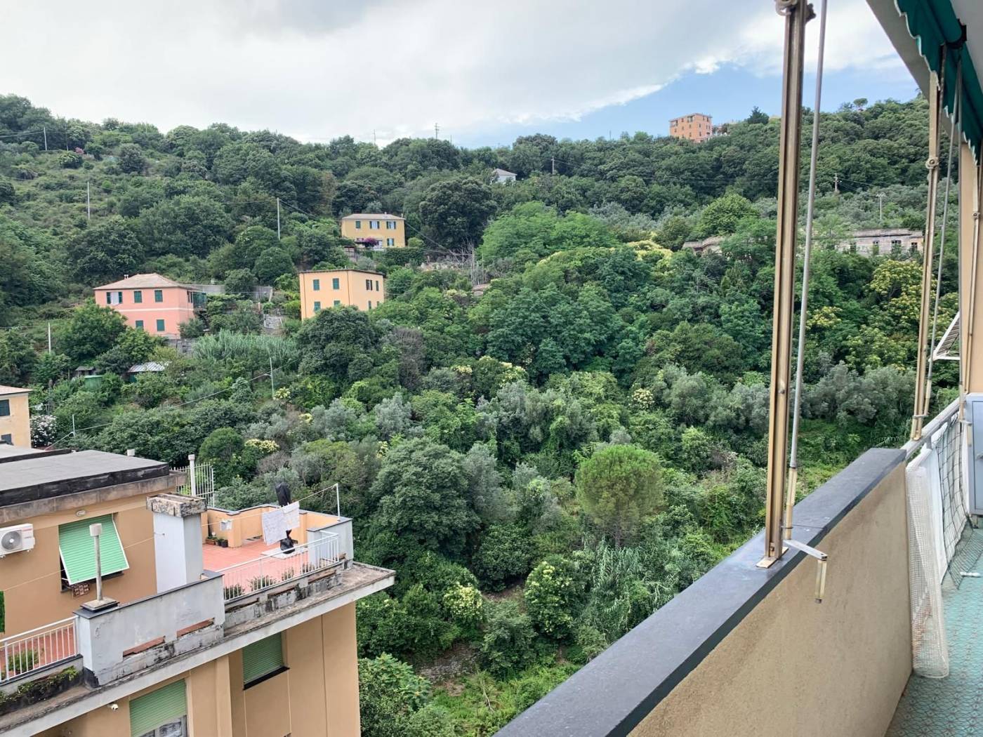 Vista