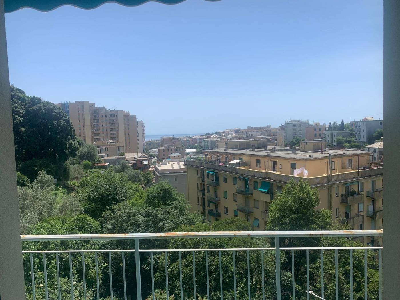 Vista