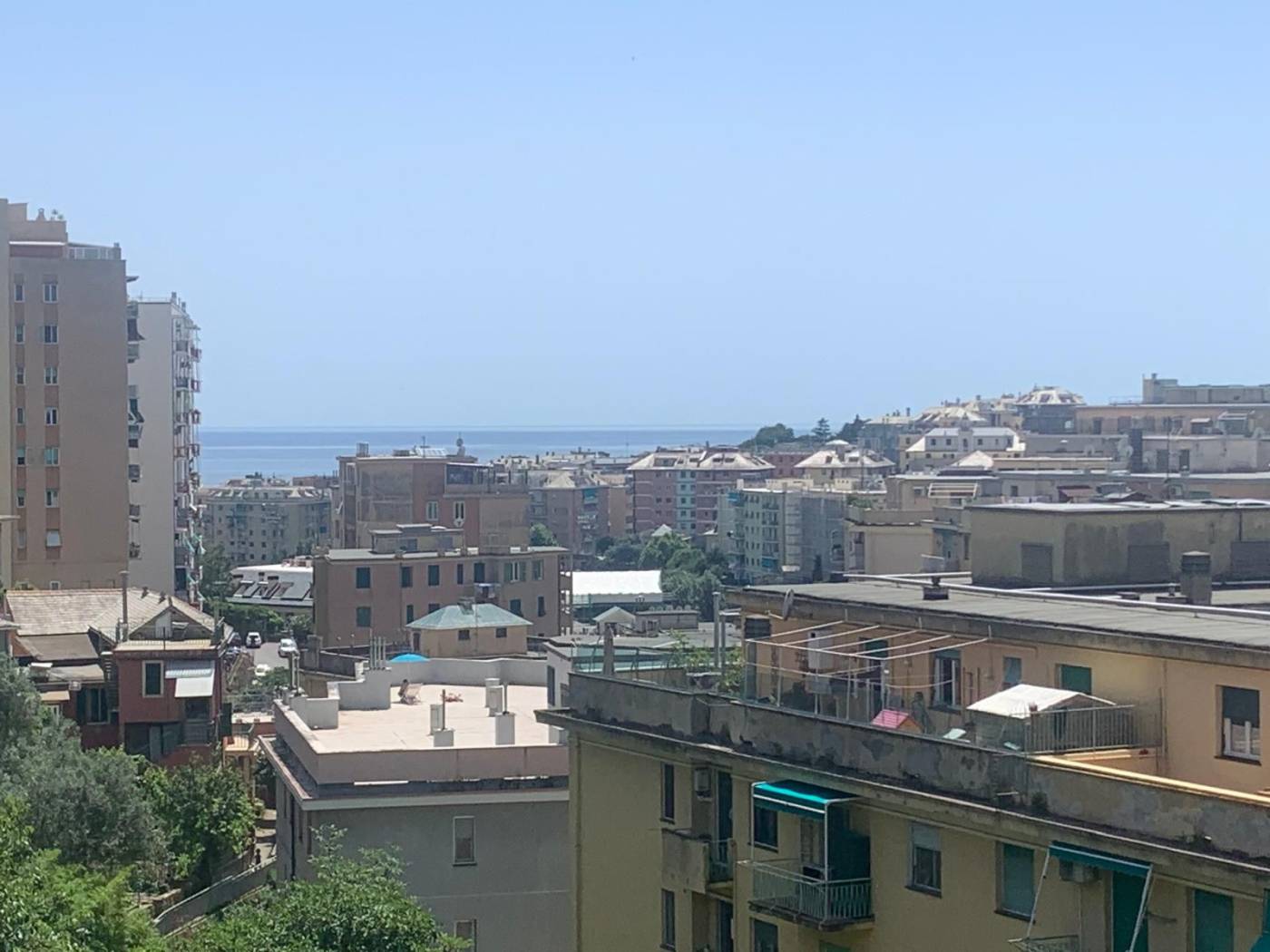 Vista
