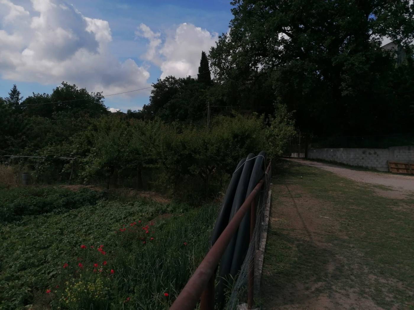 Terreno