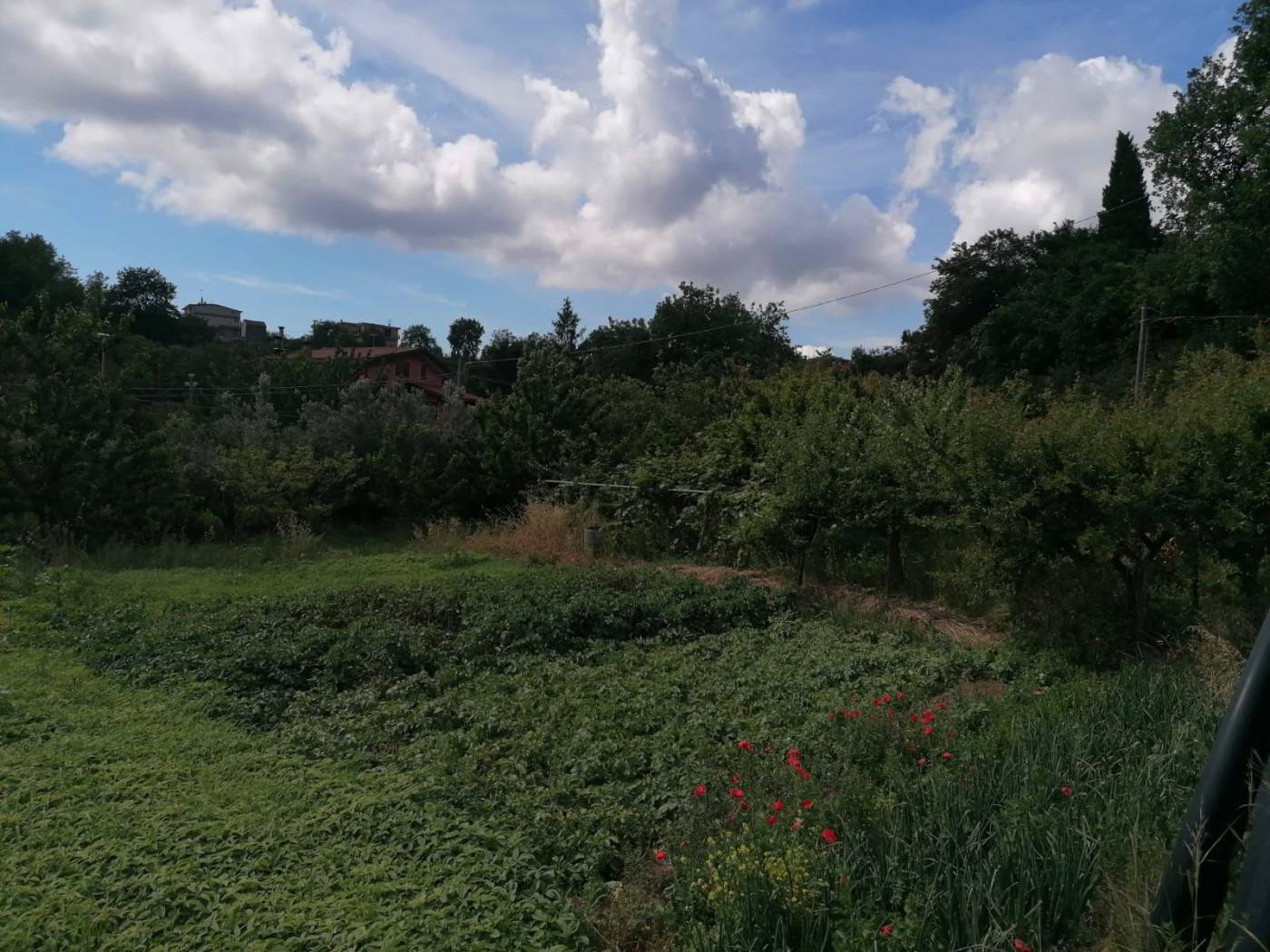 Terreno