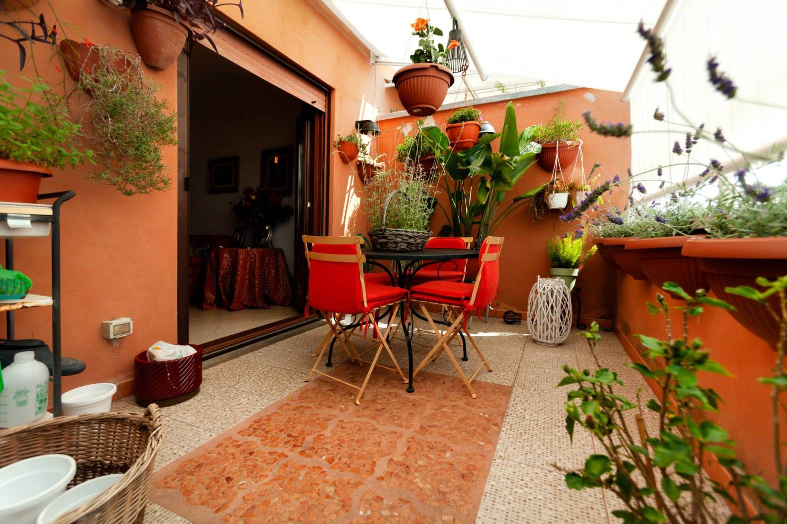 Giardino