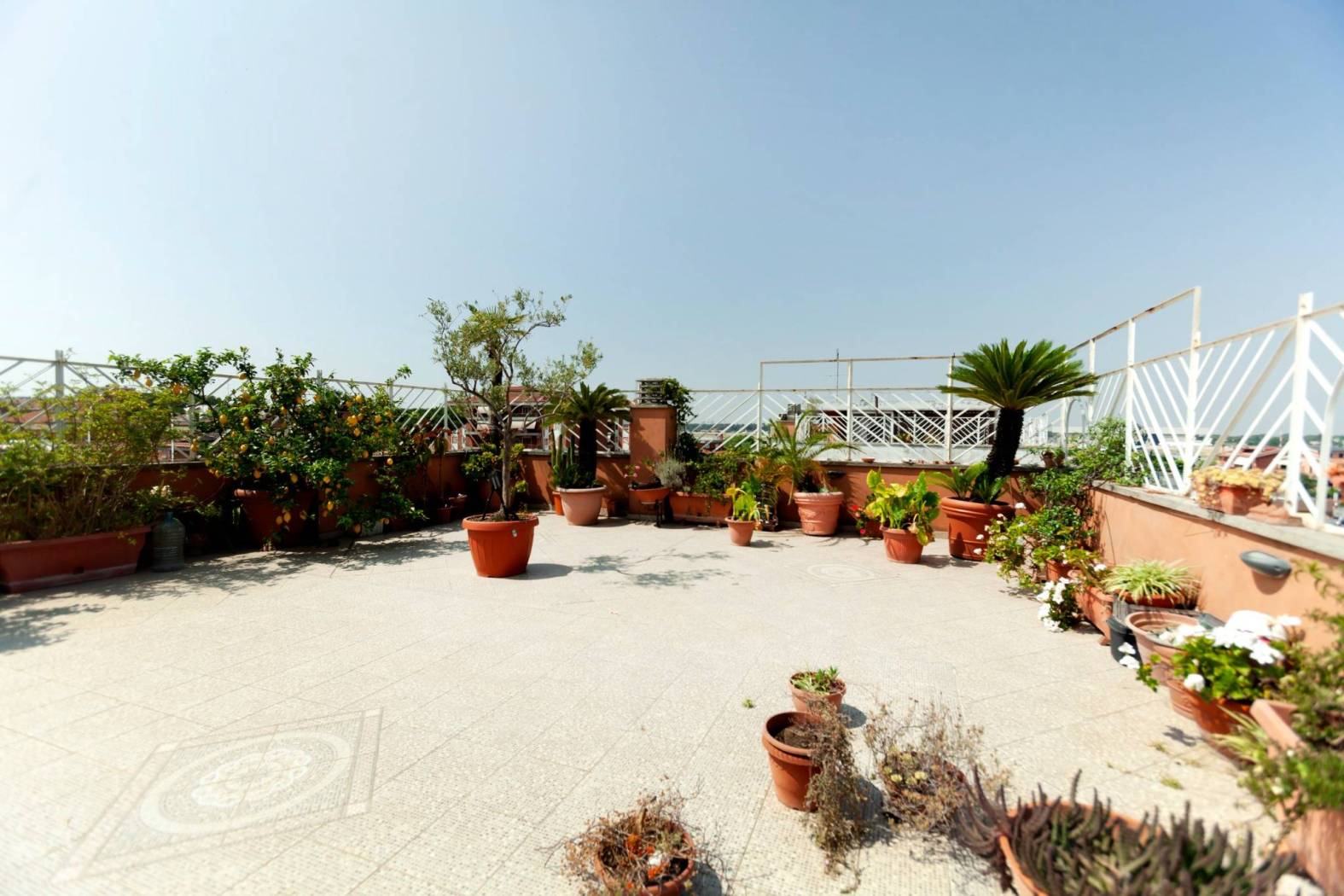 Terrazzo