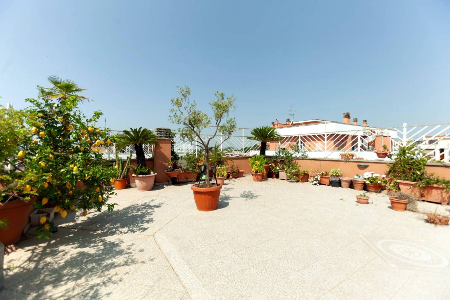 Terrazzo