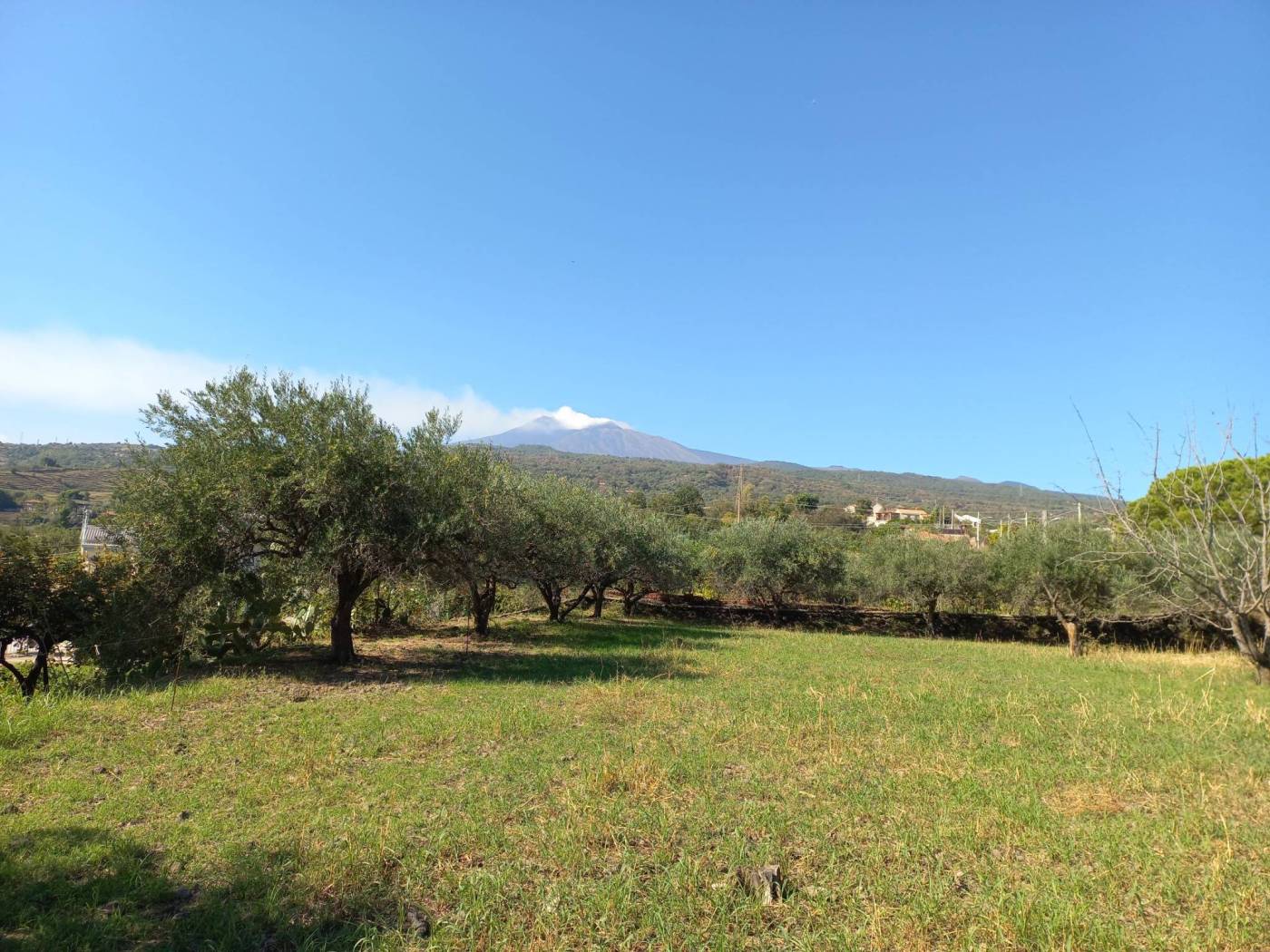 Terreno