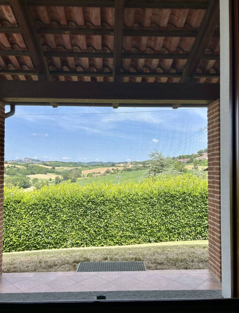 Vista
