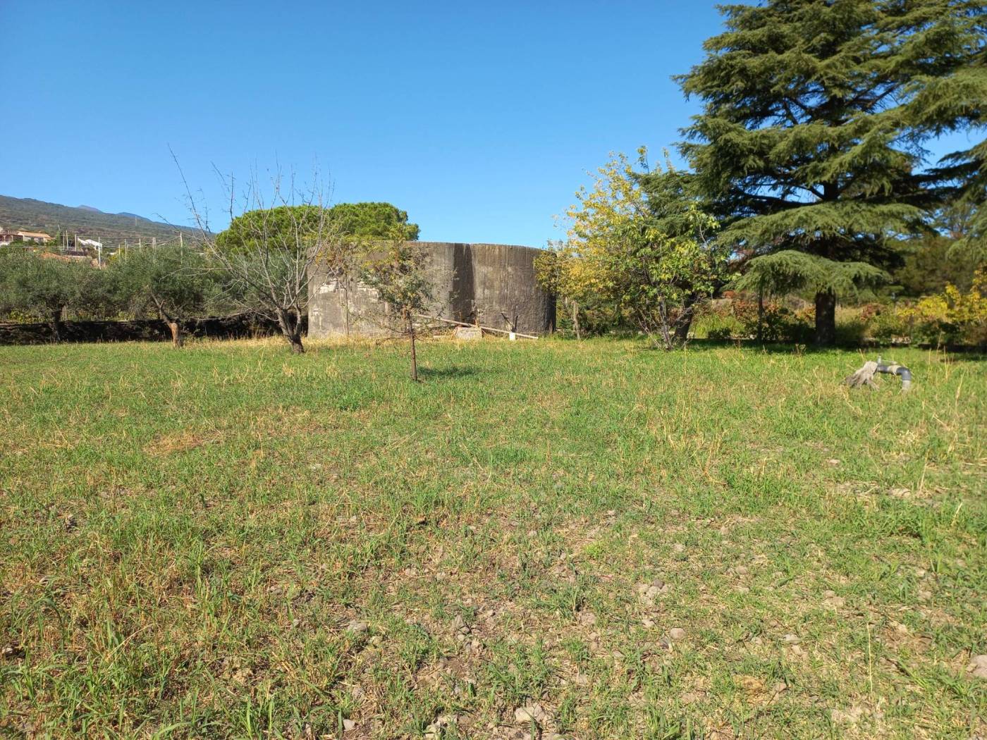 Terreno