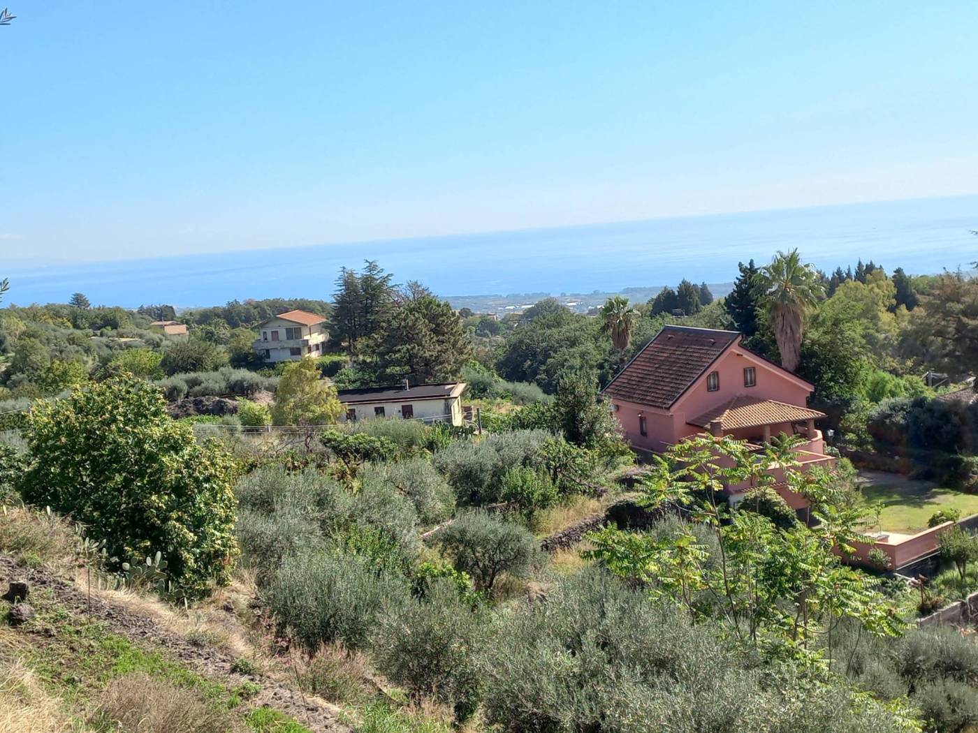 Vista