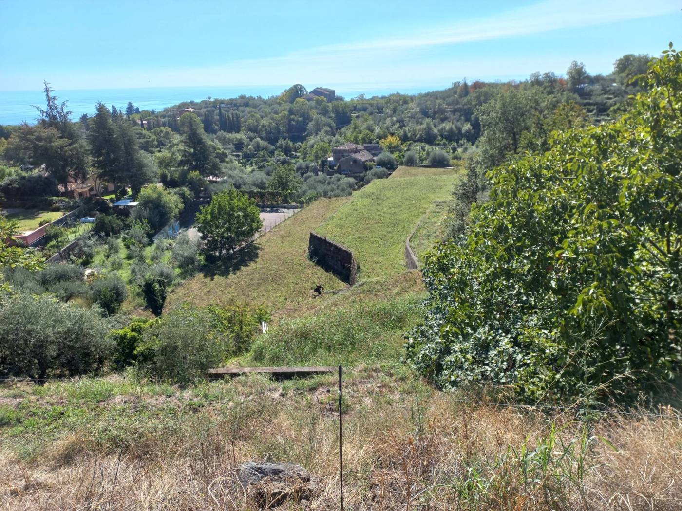 Terreno