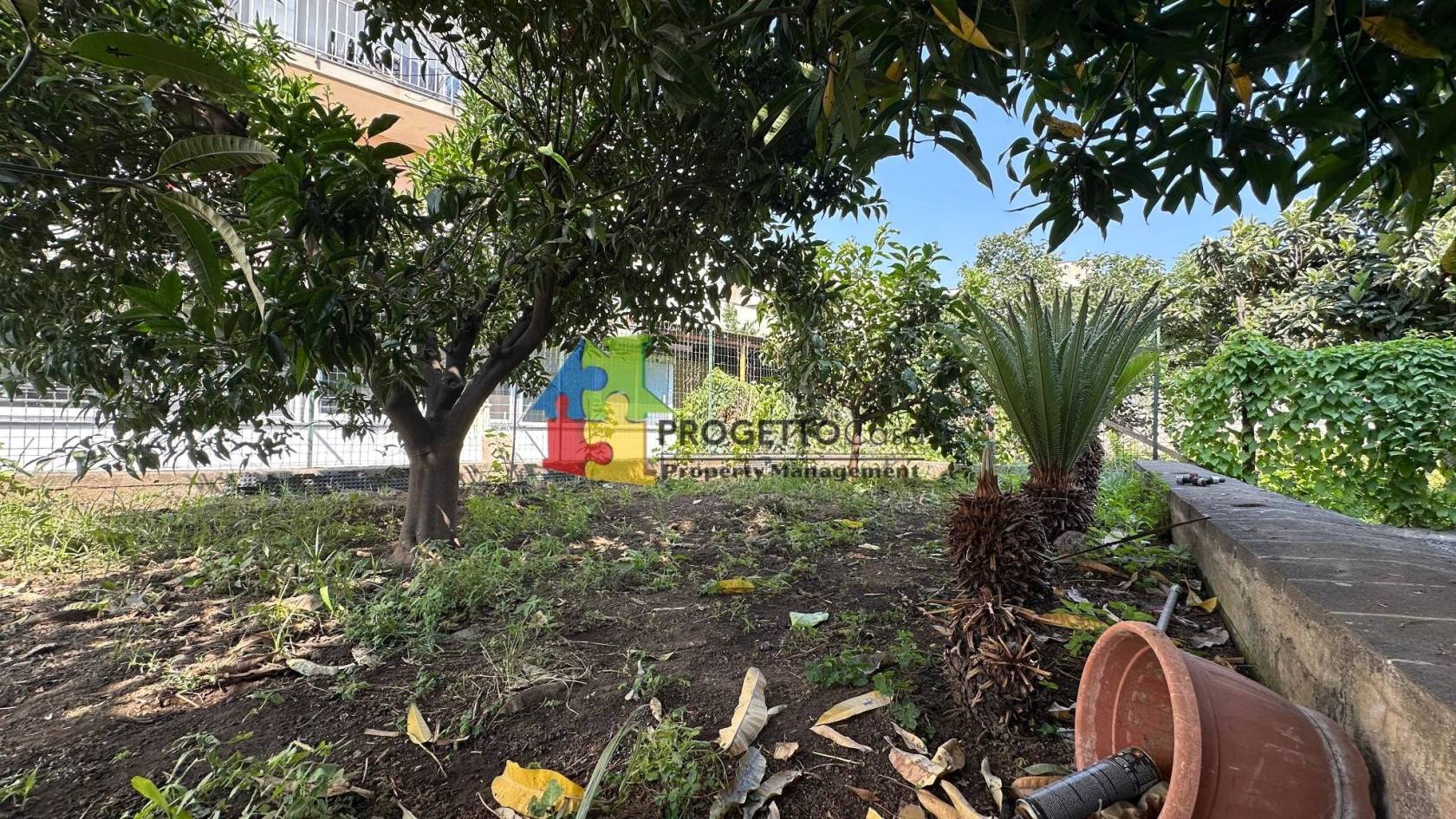 Giardino