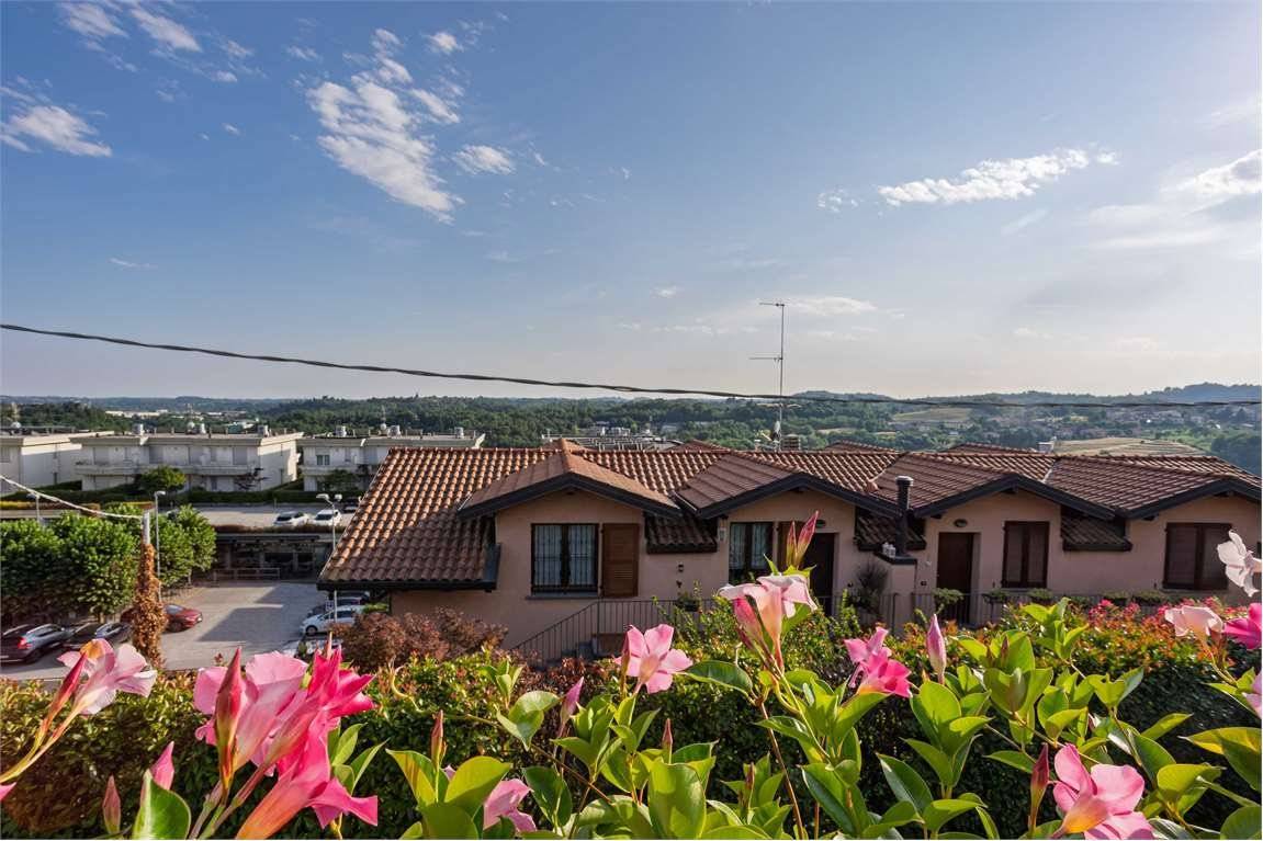 Vista